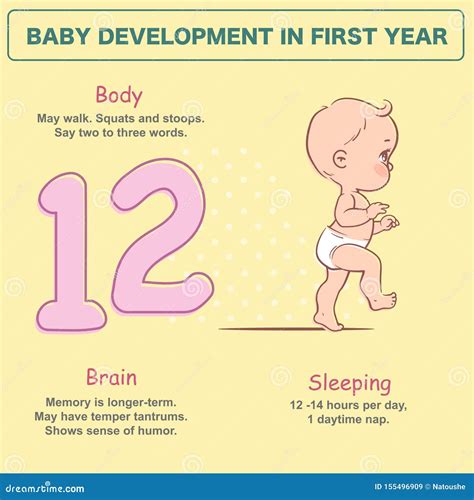 Little Newborn Baby Of 12 Months Development Infographics Stock Vector