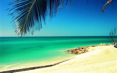 Download Wallpapers Siesta Key Sarasota Ocean Coast Summer Beach Palm Trees Seascape