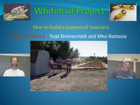 Ppt Whitehall Project Powerpoint Presentation Free Download Id1088319