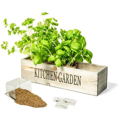 Be sure to stop by this wonderful blog for the quick and easy details and if you want a cute little herb garden for your kitchen wall but you don't want to spend a ton of time making one… Kitchen Herb Garden Windowsill Planter with Seeds and ...