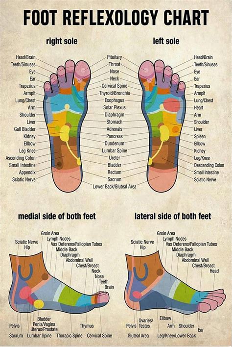 Massage Poster Massage Therapist Foot Reflexology Chart Wrapped Poster Reflexology Foot