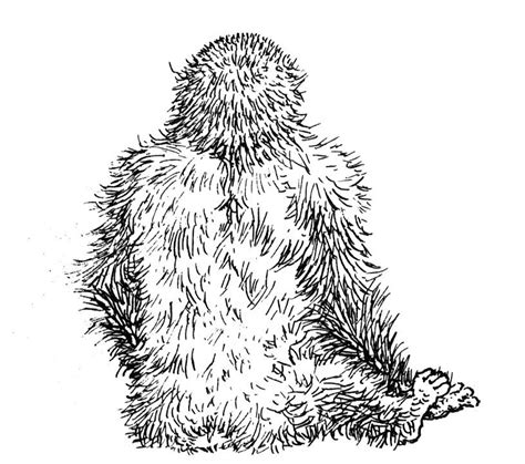 Gorillas belong to the genus gorilla and are divided into two species, which are western gorilla and eastern gorilla. Free Gorilla Coloring Pages