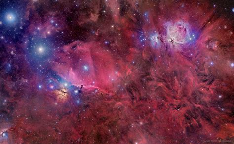 Apod 2014 November 11 Orion In Gas Dust And Stars