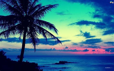 Wallpaper Sunset Sea Sky Beach Evening Coast Palm Trees