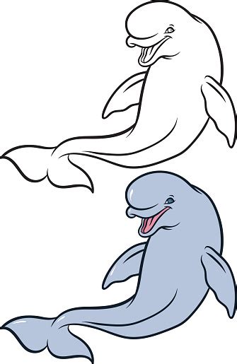 Happy Smiling Beluga Whale Cartoon Stock Illustration Download Image