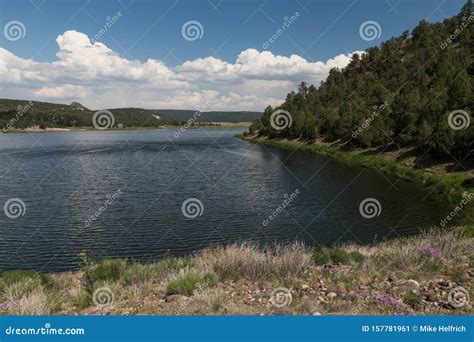 Southwestern Shore Of Quemado Lake New Mexico Stock Image Image Of