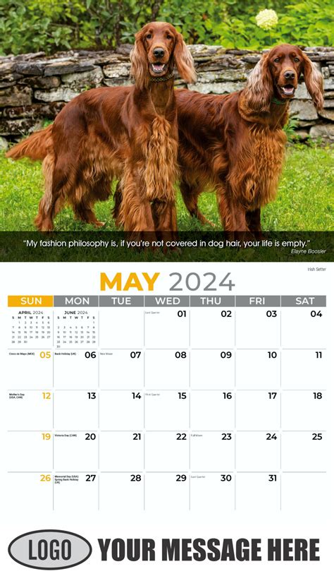We Rate Dogs 2024 Calendar Uk Time Lorri Benedetta