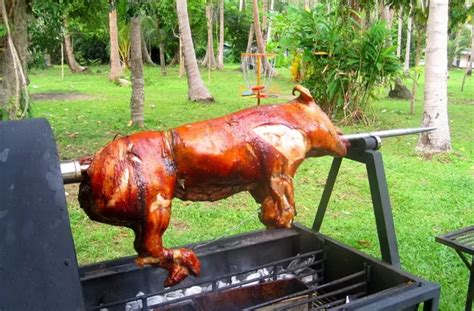 Light one bag of charcoal in the center of the spit. What does 'spit roast' mean? - Quora