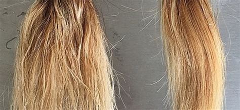 Eggs are rich in protein, vitamins and fat—perfect for nursing dry hair back to health. How Olaplex repairs damaged hair