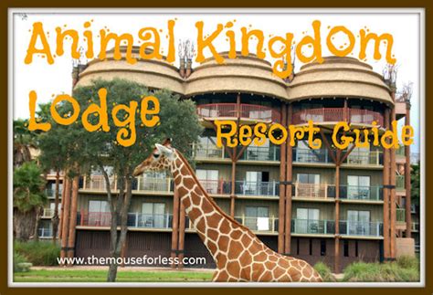 Disneys Animal Kingdom Lodge Guide Walt Disney World
