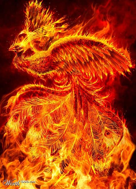 In asia the phoenix reigns over all the birds, and is the symbol of the chinese empress and feminine grace, as well as the sun and the south. H7H: Myth Creatures: Phoenix: The Dark Fire Birds - Worth1000 Contests