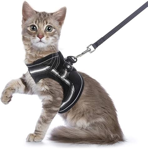 Rabbitgoo Cat Harness And Leash Set For Walking Escape Proof