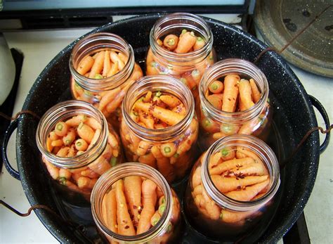 Canning Pickled Carrots With Garlic Scapes • A Traditional Life
