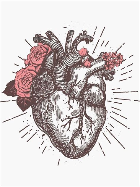 Biomec heart by strawberrysinner drawings drawings art human from drawing of an anatomical these many pictures of drawing of an anatomical heart list may become your inspiration and. Autocollant 'Anatomical Heart Floral' par nameonshirt in ...