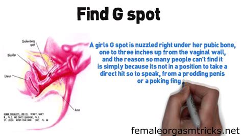 Raha kusugua g spot | buy your favourite fashion, electronics, beauty, home & baby products online in dubai, abu dhabi and all uae. Raha Kusugua G Spot - Fantastic Voyage: 3 Tips To Activate The G-Spot | BlackDoctor : We may ...