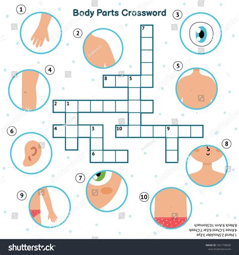 Body Parts Crossword Hand Eye Shoulder Stock Vector (Royalty Free