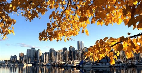 10 Places To See Fall Leaves In And Around Vancouver Daily Hive Vancouver