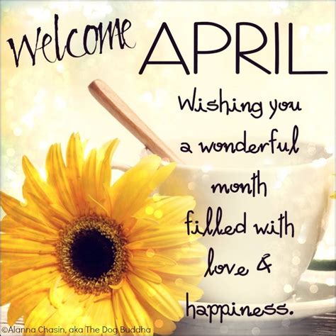 Short april sayings april is a fun month. —unknown april showers bring forth may. Welcome April! Wishing You A Wonderful Month Filled With Love & Happiness. Pictures, Photos, and ...