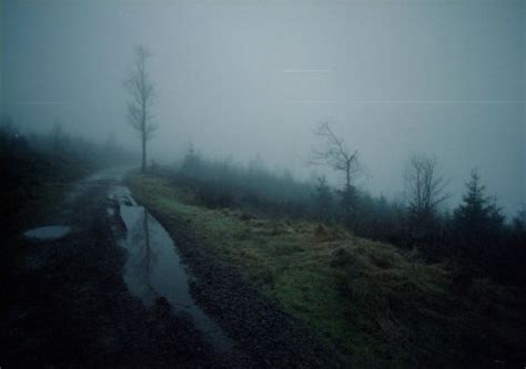 Dark Nature On Tumblr