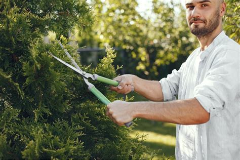 Tuin Winterklaar Maken Zo Doe Je Dat Essenti Le Zaken Damhuis