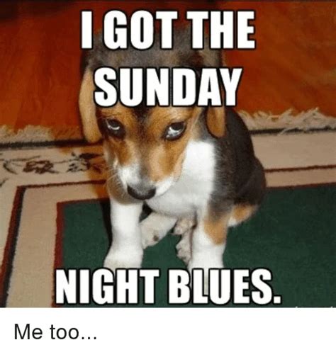 25 Memes About How We Feel On A Sunday Night