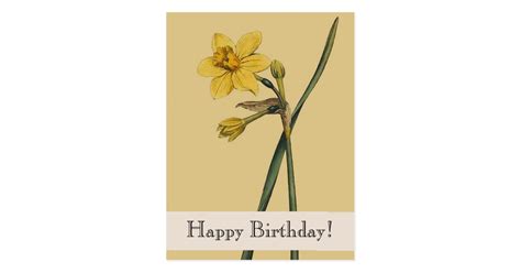 Vintage Botanical Daffodil Happy Birthday Postcard