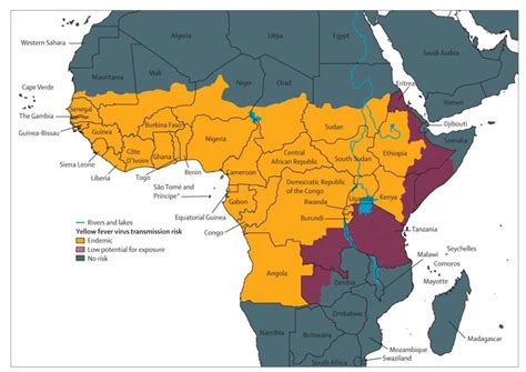 Whats Behind Angolas First Yellow Fever Outbreak In Decades