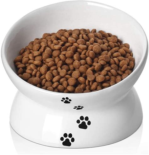 While this is something that we normally don't think twice, feeding your pet on the floor means that it has to crane its neck down to. Y YHY Cat Bowl,Raised Cat Food Bowls Anti Vomiting,Tilted ...