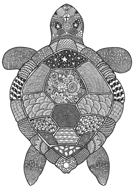 Turtle Coloring Pages Hard Coloring Pages