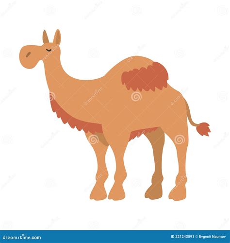 Cute Dromedary African Animal Camel Herbivore Jungle Animal Cartoon