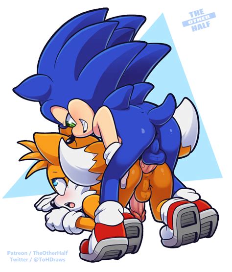 comm sonic and tails by theotherhalf hentai foundry