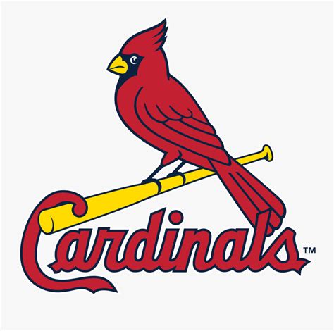 St Louis Cardinals Logo 2019 Free Transparent Clipart Clipartkey