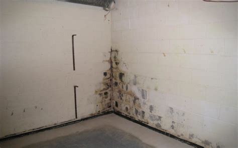 Gwen hefner and husband micah wanted to turn their tiny, airless basement space into a comfortable mancave. Simple Preventative Tips to Keep Mold and Mildew Out of ...