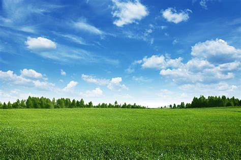 5532500 Blue Sky Landscape Stock Photos Pictures And Royalty Free