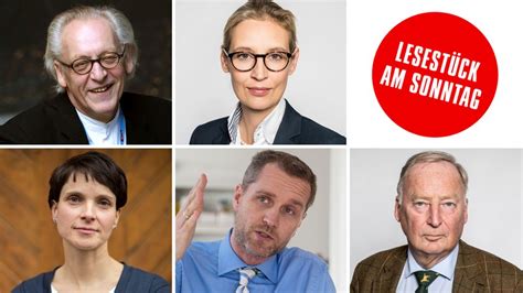 Bundestagswahl 2017: Die vielen Gesichter der AfD | STERN.de