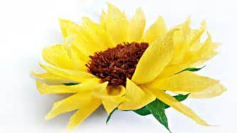 Diy Tissue Paper Sunflower Flower For Wall Backdrop