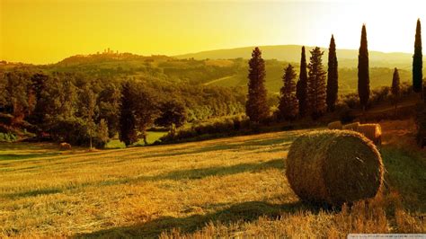 Hay Bales Field Trees Sunset Wallpapers Hay Bales Field Trees Italy