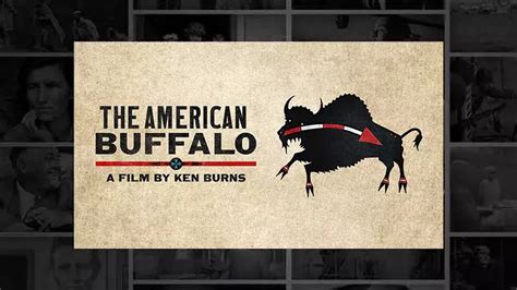 Watch The American Buffalo A Documentary From Ken Burns Pbs