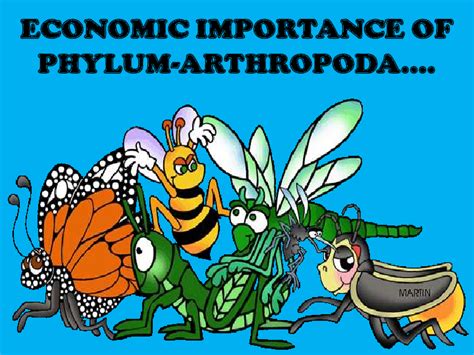 The importance of auditing cannot be overstated. (PDF) Economic importance of Arthropods | Navodita George ...