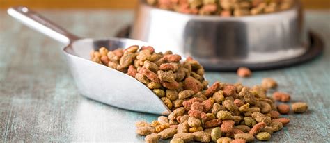 20 reasons why we recommend pawtree® dog food. Pure Being Cat Food Ingredients