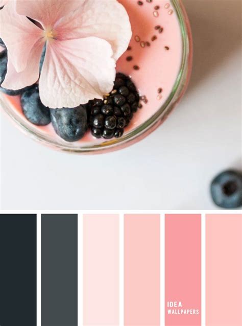 Blush Pink And Blackberry Color Scheme Pink And Black Color Palette