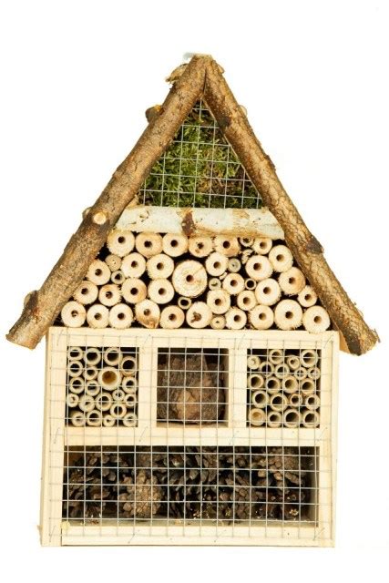 The fact that some insects are threatened by extinction has only recently become a topic of interest. 50 DIY bug hotels | material and instructions to attract bugs - Craftionary