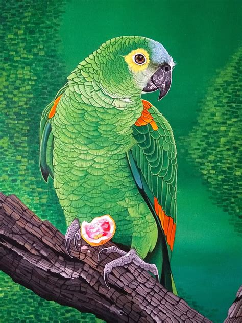 Macaw Parrot Bird Bright Branch Art Hd Phone Wallpaper Peakpx