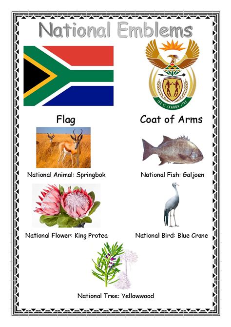 South African Emblems • Teacha