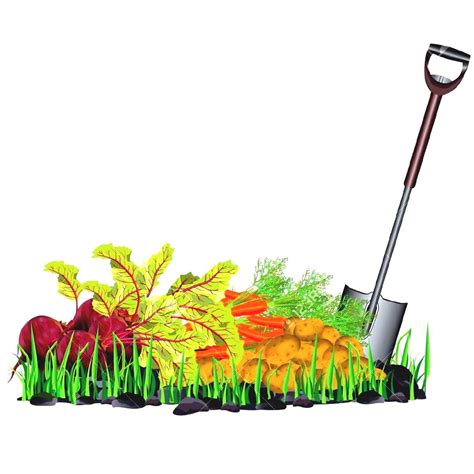 Vegetable Garden Clipart Free Download On Clipartmag
