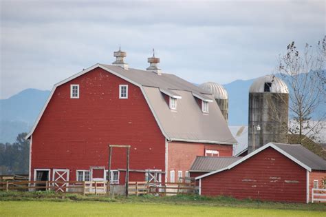 Written In Lynden: Red barn, white barn, foggy barn, too.
