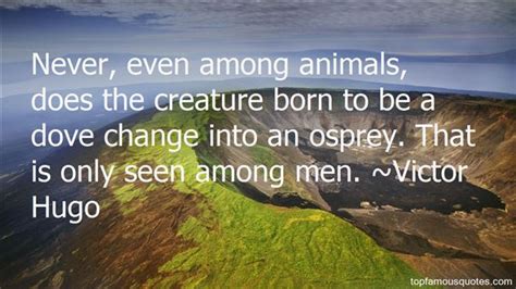 Osprey Quotes Best 5 Famous Quotes About Osprey