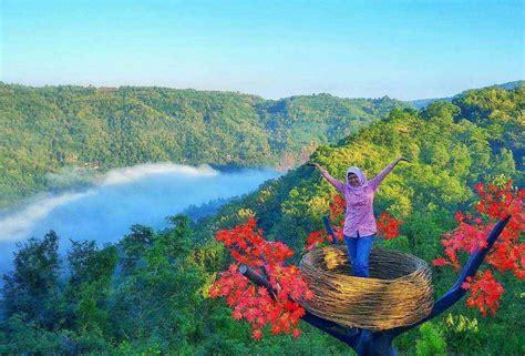 Tempat wisata terkenal yang bahkan jadi ikon kota ini terkenal dengan sisi lain, yakni kisah mistis yang beredar di kalangan masyarakat. 33 Tempat Wisata Yogyakarta Terbaru dan Paling Hits Dikunjungi