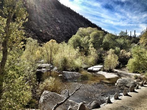 The Best Hikes In Tucsons Sabino Canyon Thirdeyemom