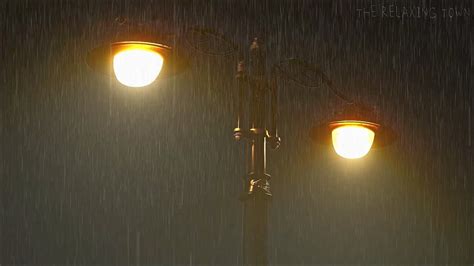 Rain Falling On A Streetlights At Night Ambience 10 Hours